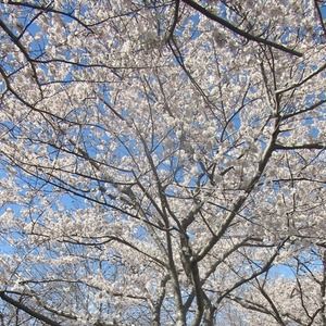 Meet your Posher, Giovanna